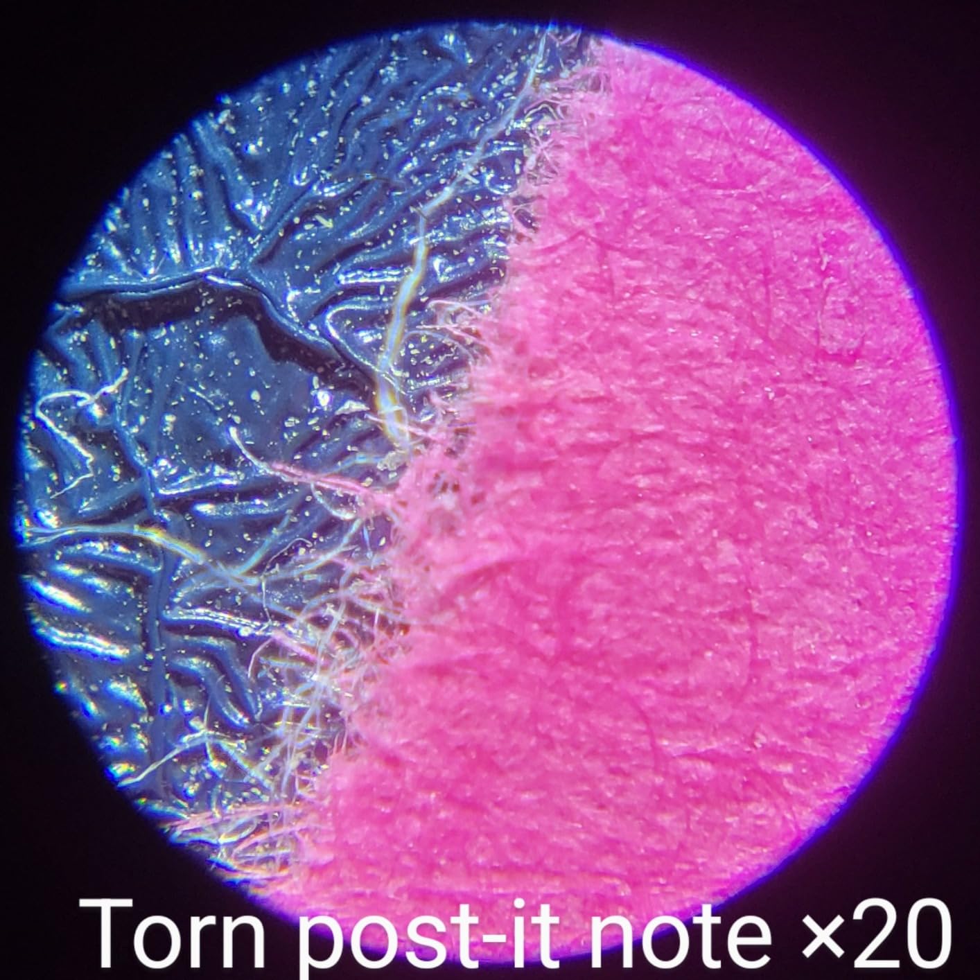 Carson Pocket Micro 20x-60x LED Pocket Microscope Handheld STEM Toy (MM-450) customer photo 2
