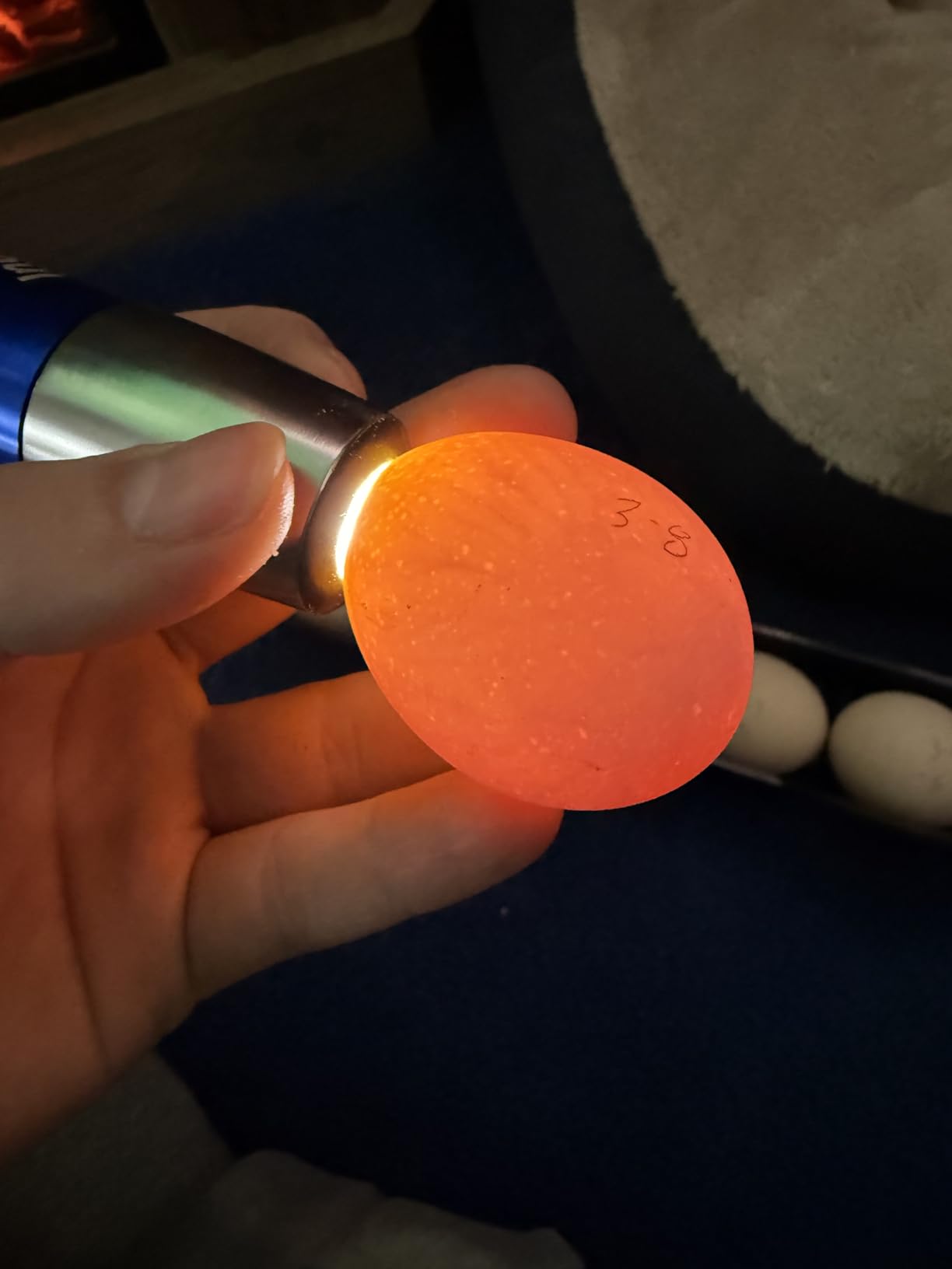 Incu-Bright™ Ultra Bright LED Egg Candler - Portable Light for All Egg Size customer photo 2