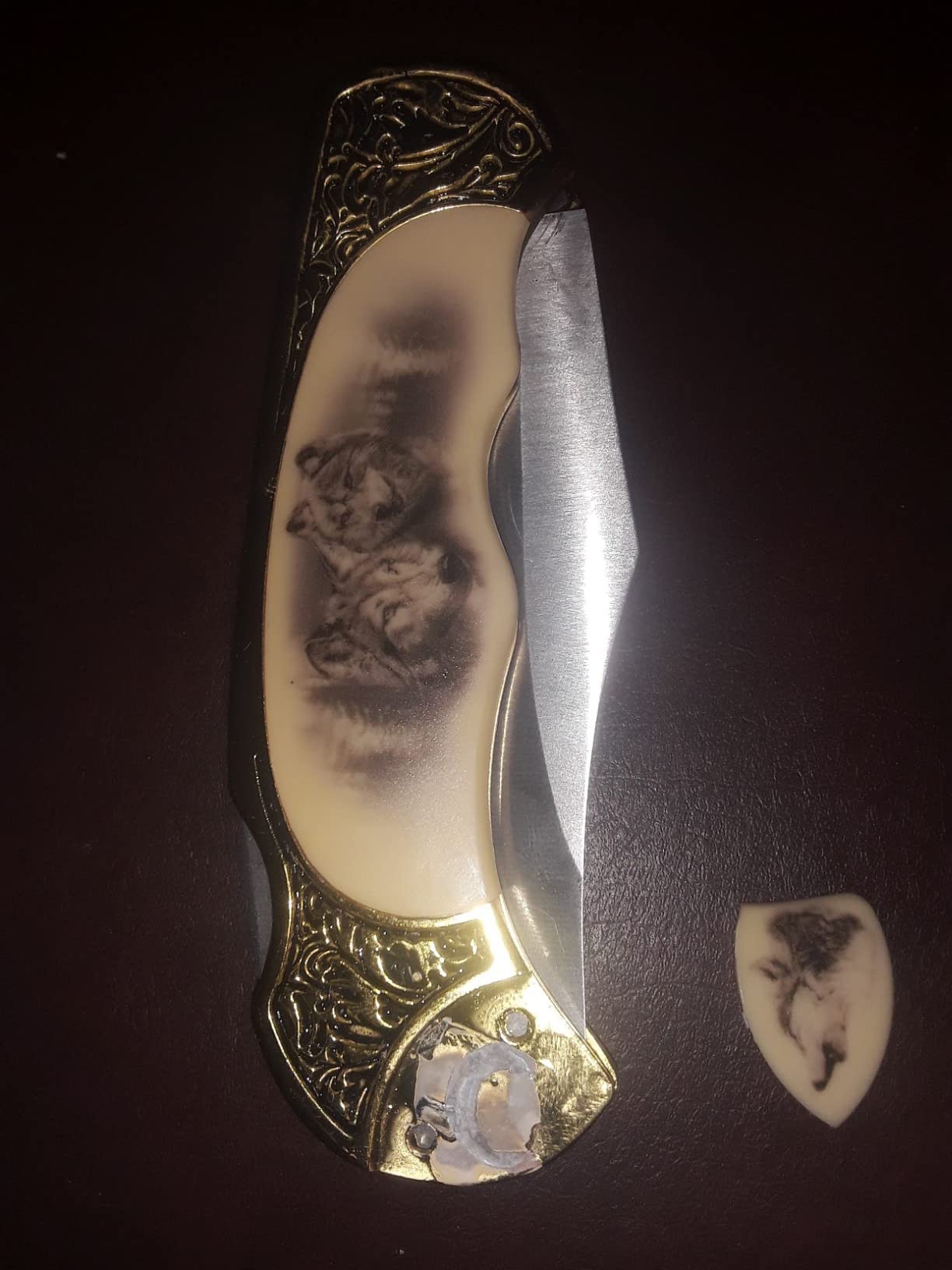 SZCO Supplies Eagle Gift Box Folding Knife customer photo 2