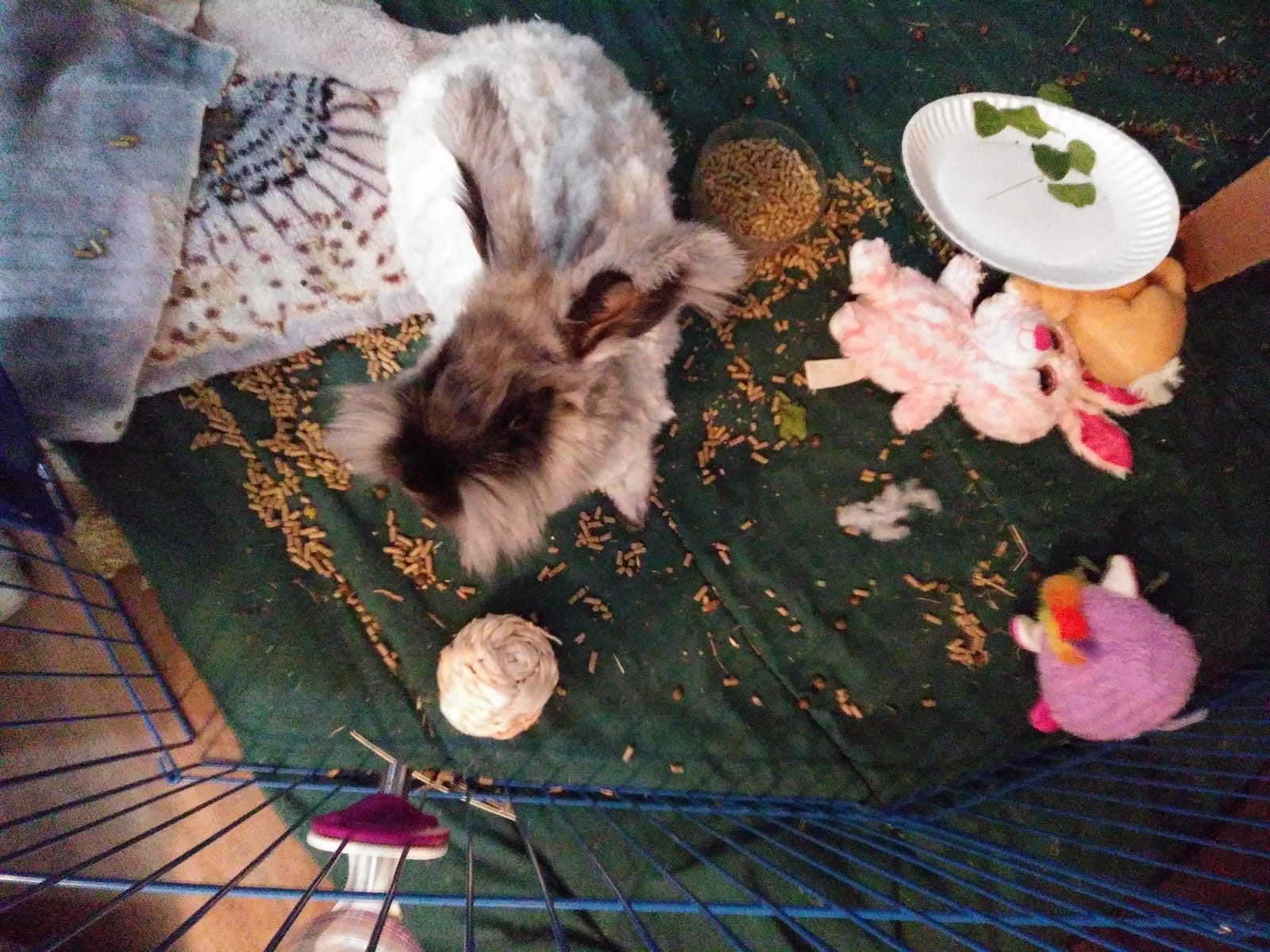 Niteangel Natural Chew Activity Toys: Meets Small Pet Chewing Needs & Mood | Helps Alleviate Teeth Grinding & Reduces Boredom - Fun Safe Hay Grass Balls for Chinchilla Guinea Pig Rats Rabbits Hamster customer photo 2