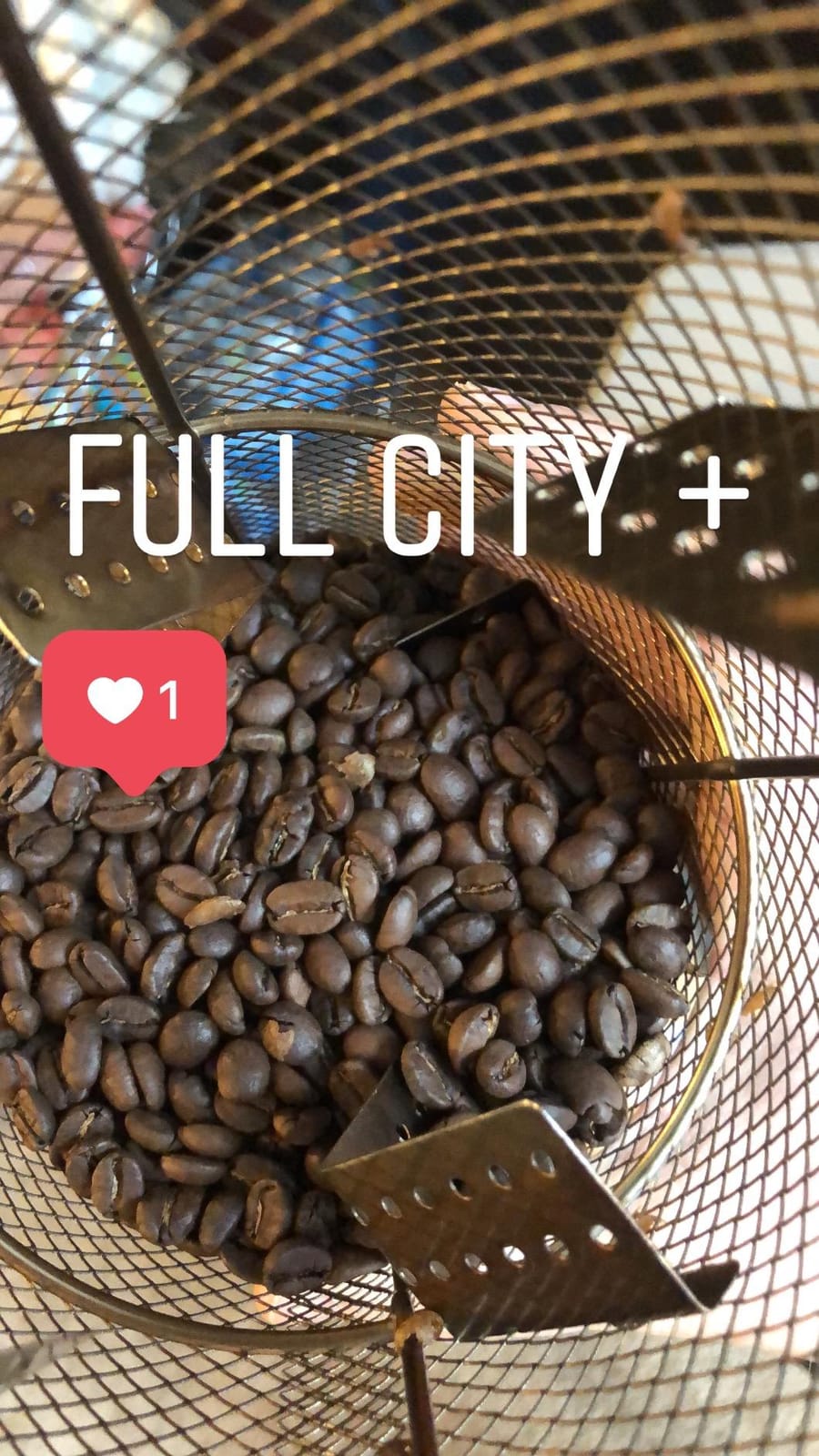 Stone Street Colombian Supremo Green Coffee Beans, Unroasted, 1 Lb customer photo 1
