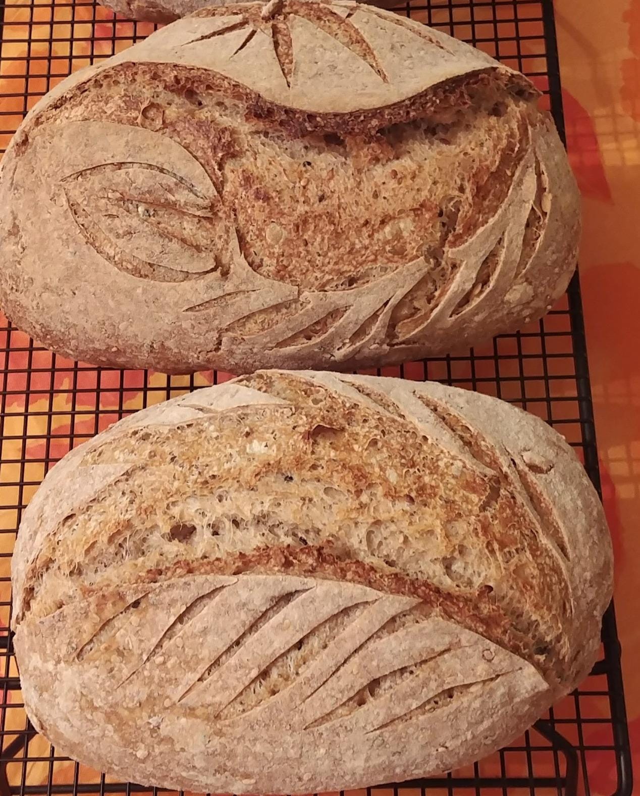 Baker of Seville Bread Lame - Patented 2-in-1 Stainless Scoring Tool | Featured in America's Test Kitchen, Bon Appetit & Food & Wine. 6 blades + case included. customer photo 2