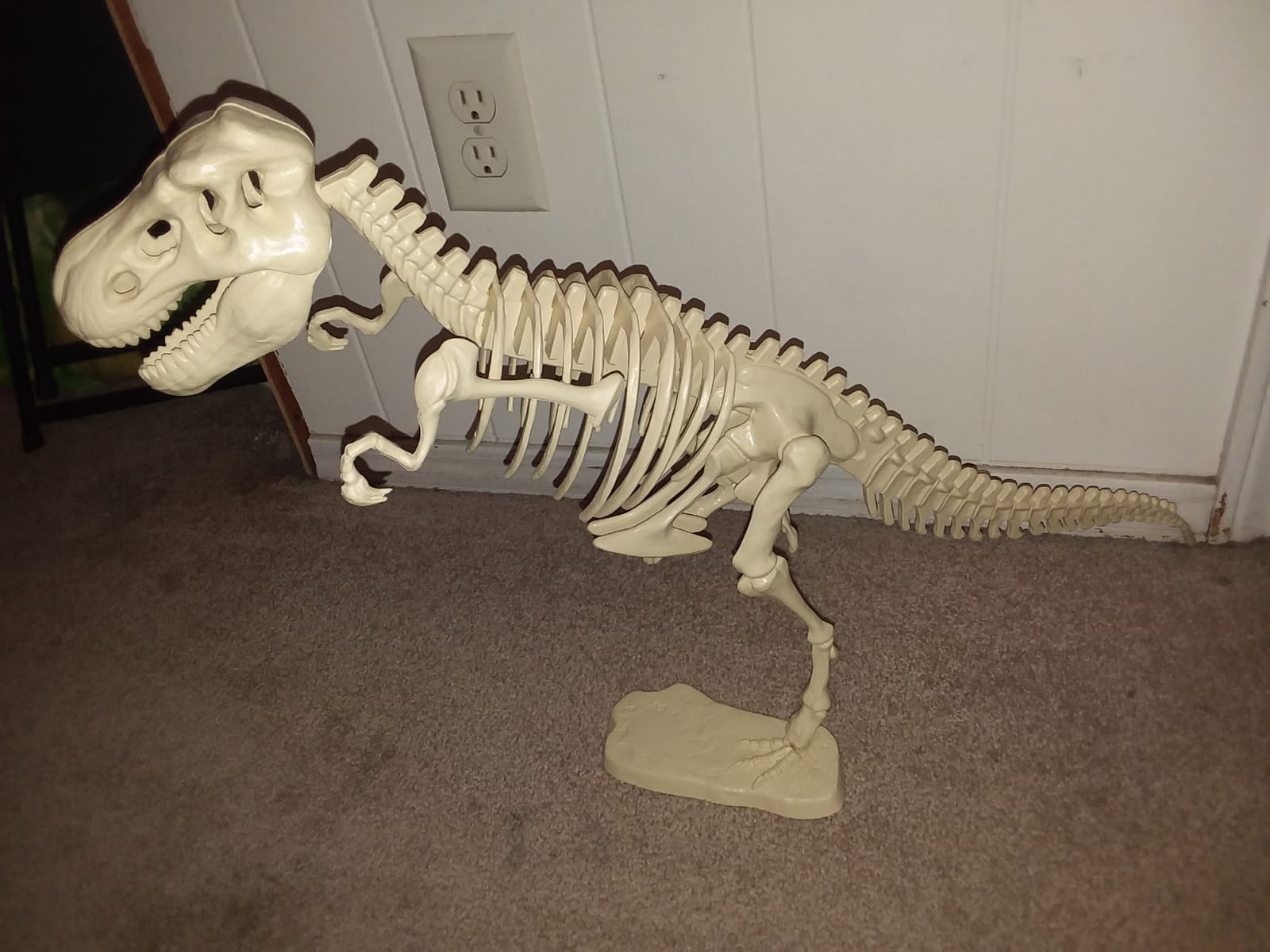 Thames & Kosmos Giant Dinosaur: T. Rex Skeleton Model | STEM Activity | Build a 26-in Long T. Rex Skeleton | Explore Paleontology & Learn Fun Dino Facts | Includes Manual with Step-by-Step Assembly customer photo 2
