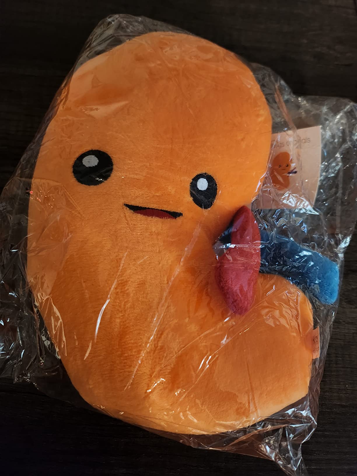 nerdbugs Kidney Plush – Funny Urology Gift, Transplant & Dialysis Recovery Toy, Donor Appreciation, Nephrology Gift for Nurses, Doctors, Med Students, Adults & Kids customer photo 1