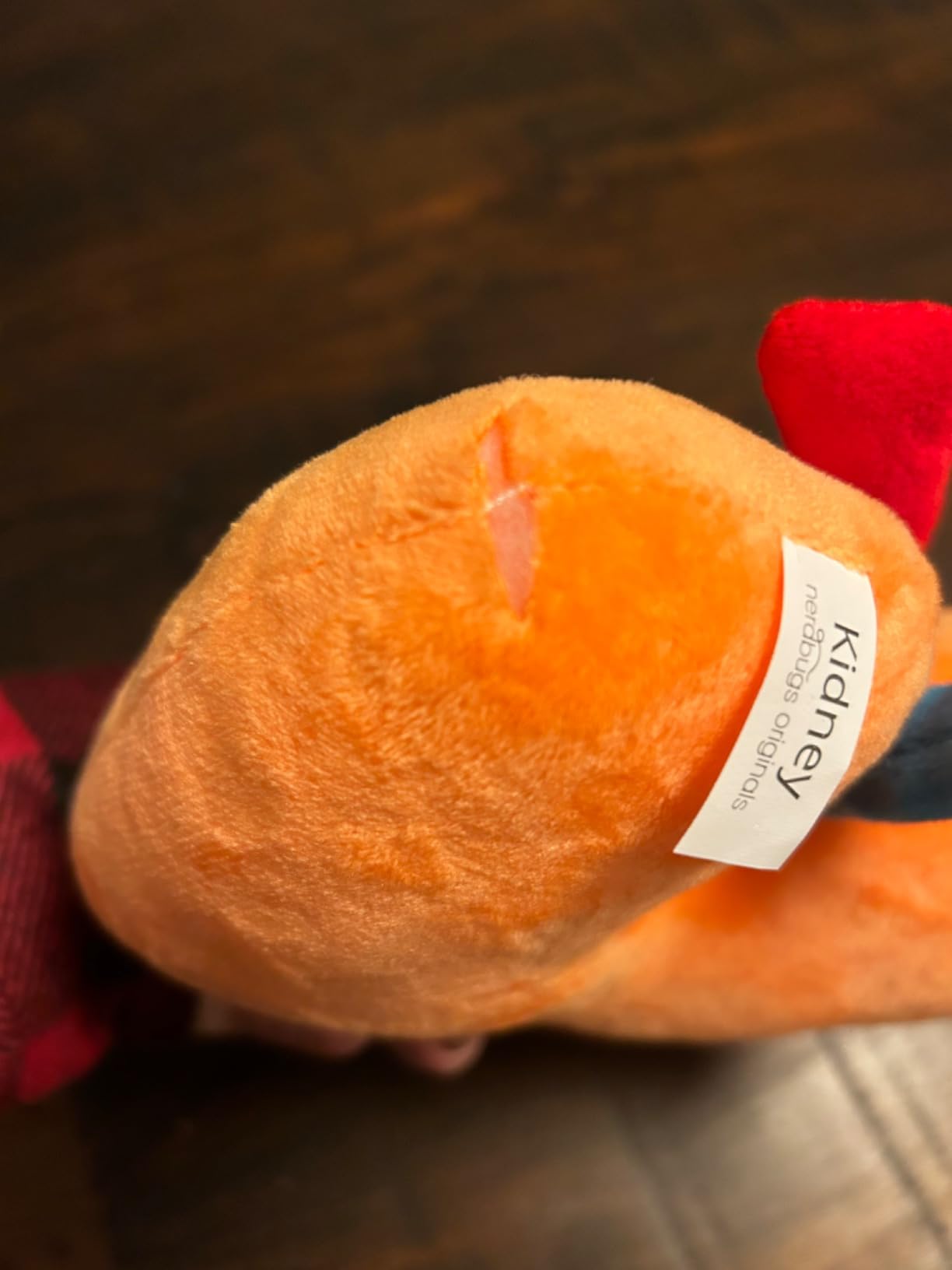 nerdbugs Kidney Plush – Funny Urology Gift, Transplant & Dialysis Recovery Toy, Donor Appreciation, Nephrology Gift for Nurses, Doctors, Med Students, Adults & Kids customer photo 2