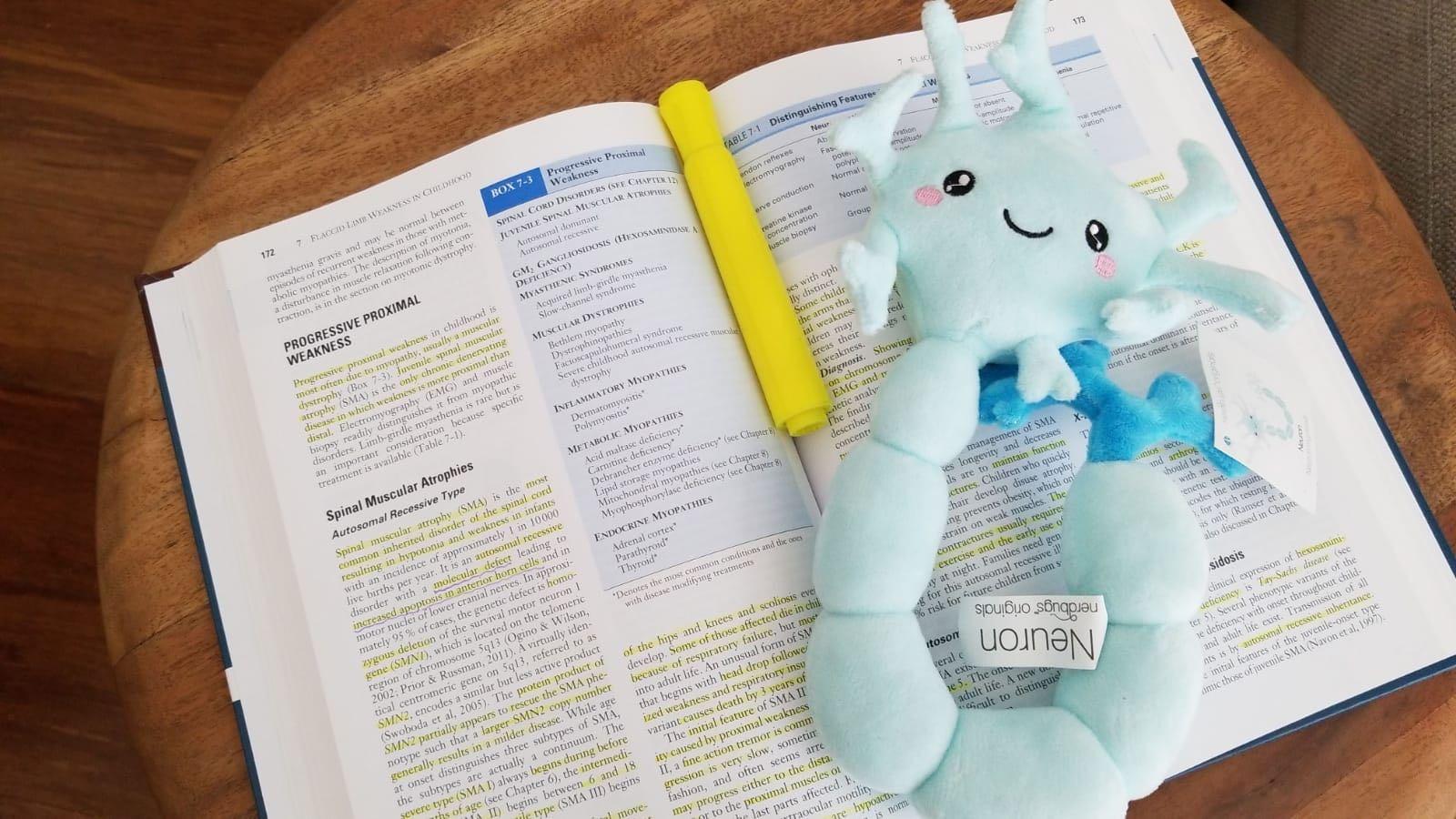 nerdbugs Neuron Plush – Funny Brain Cell Toy, Neuroscience & Psychology Gift, Mental Health Support, Neurology Decor, Brain Surgery Recovery Gift for Med Students, Adults & Teens customer photo 1
