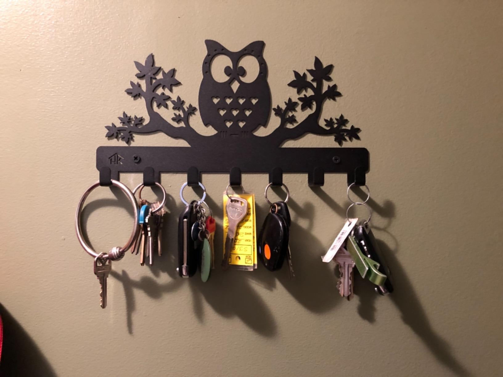 Owl Key Holder - Wall Mounted Key Hooks, 7 Sturdy Metal Hooks, Nature Themed Home Decor, 10.6 X 6.15 X 1 INCH customer photo 1