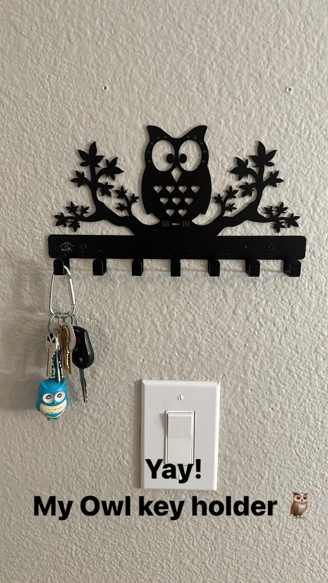 Owl Key Holder - Wall Mounted Key Hooks, 7 Sturdy Metal Hooks, Nature Themed Home Decor, 10.6 X 6.15 X 1 INCH customer photo 2