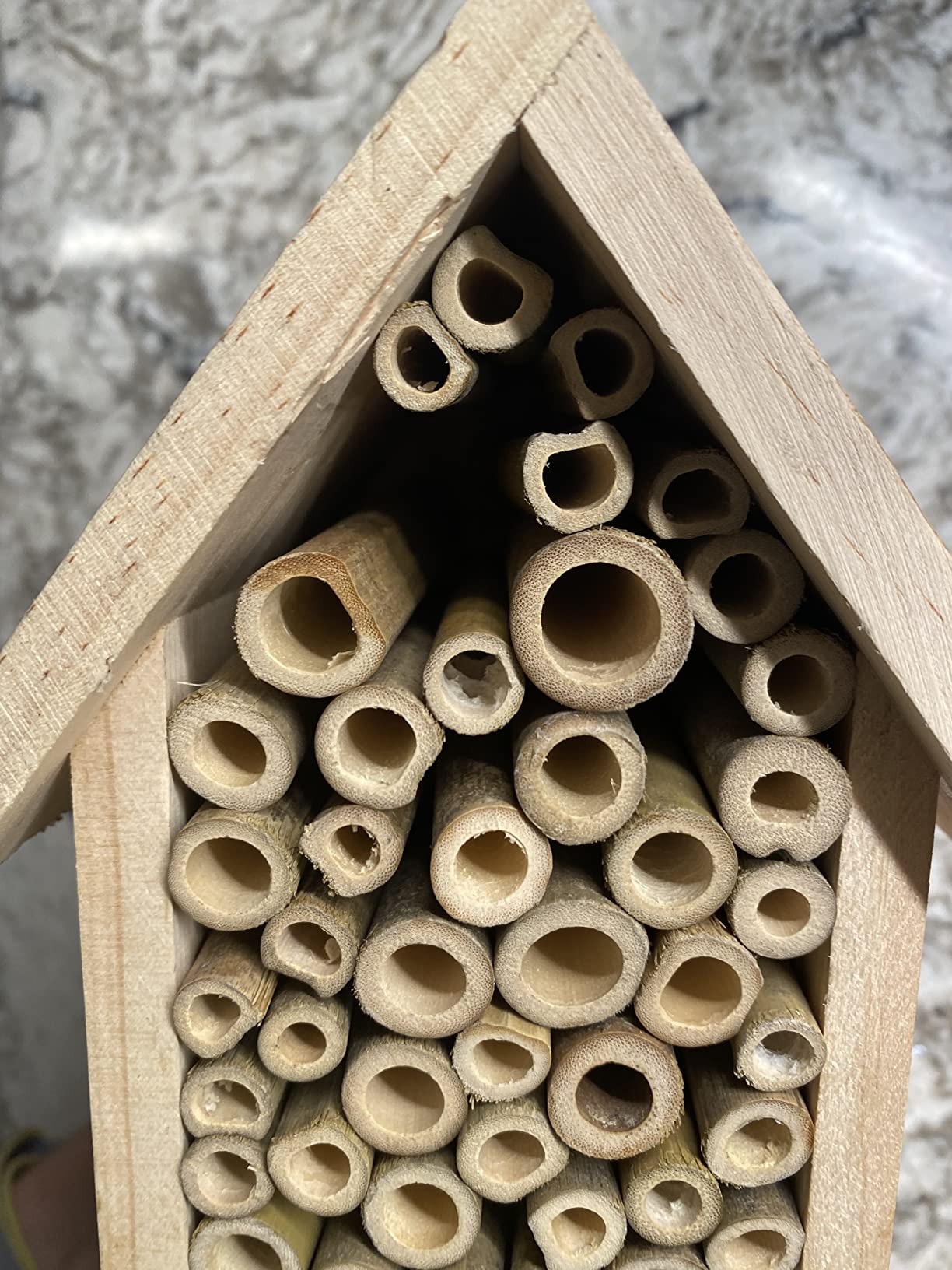 12 in. Mason Tower Bee House customer photo 2