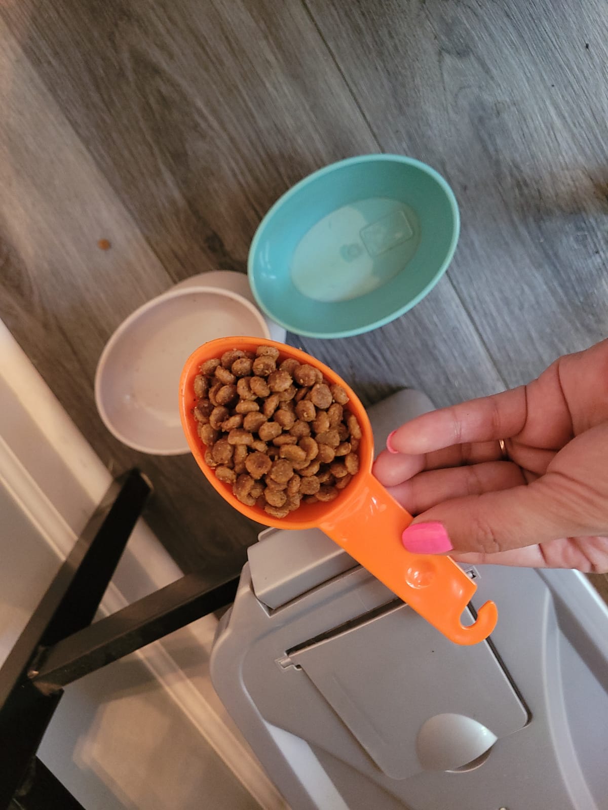 Rypet Dog Food Scoop Set of 4 - Plastic Measuring Cups for Dog, Cat and Bird Food (Random Color) customer photo 2