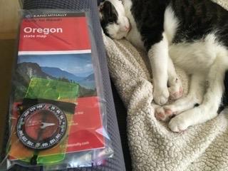 TurnOnSport Orienteering Compass - Advanced Scout Compass for Hiking, Camping, and Backpacking - Best Survival Gifts for Kids customer photo 2