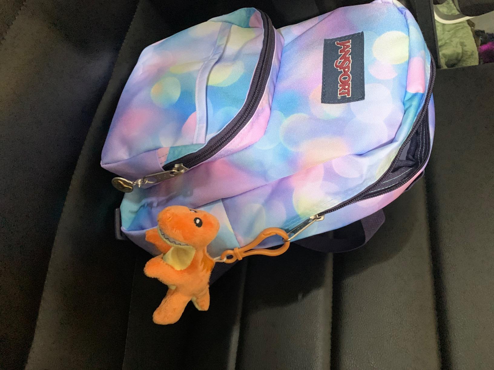 Scentco Dino Dudes Backpack Buddies - Patented Gourmet Scented Plush Toy Dinosaur Clips - Brontosaurus (Raspberry) - Stocking Stuffer customer photo 2