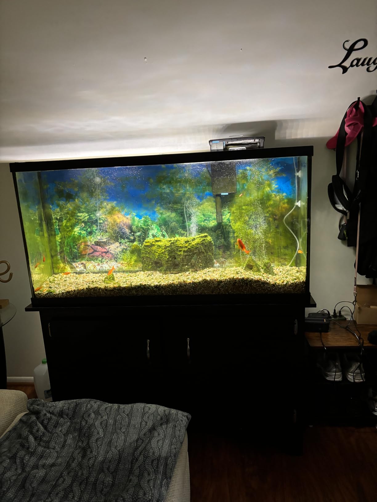 Laifoo 5ft Aquarium Siphon Vacuum Cleaner for Fish Tank Cleaning Gravel & Sand customer photo 1