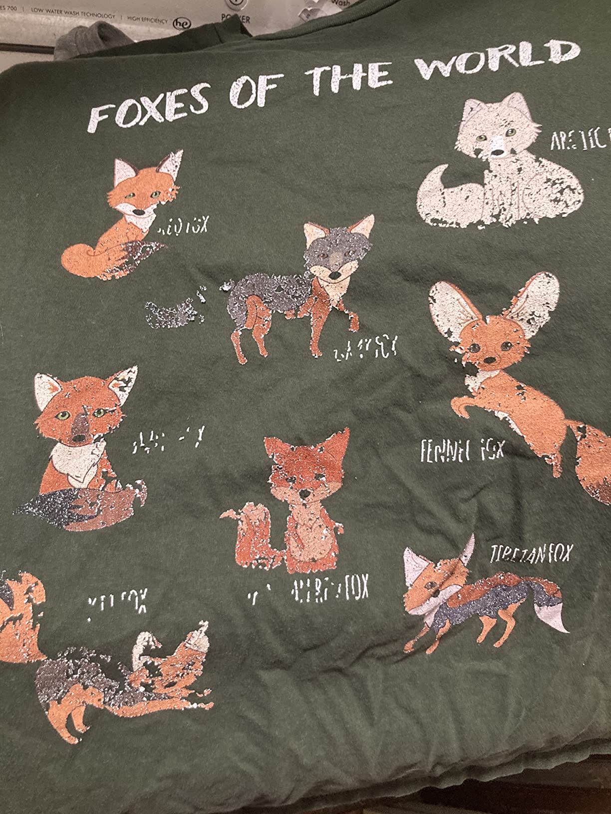 Foxes of The World Funny Fox Animals Educational T Shirt T-Shirt customer photo 1