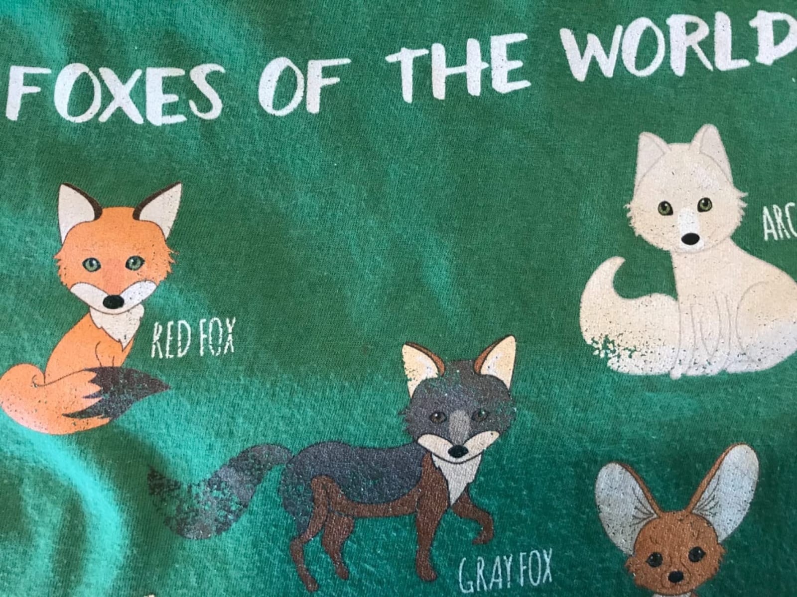 Foxes of The World Funny Fox Animals Educational T Shirt T-Shirt customer photo 2