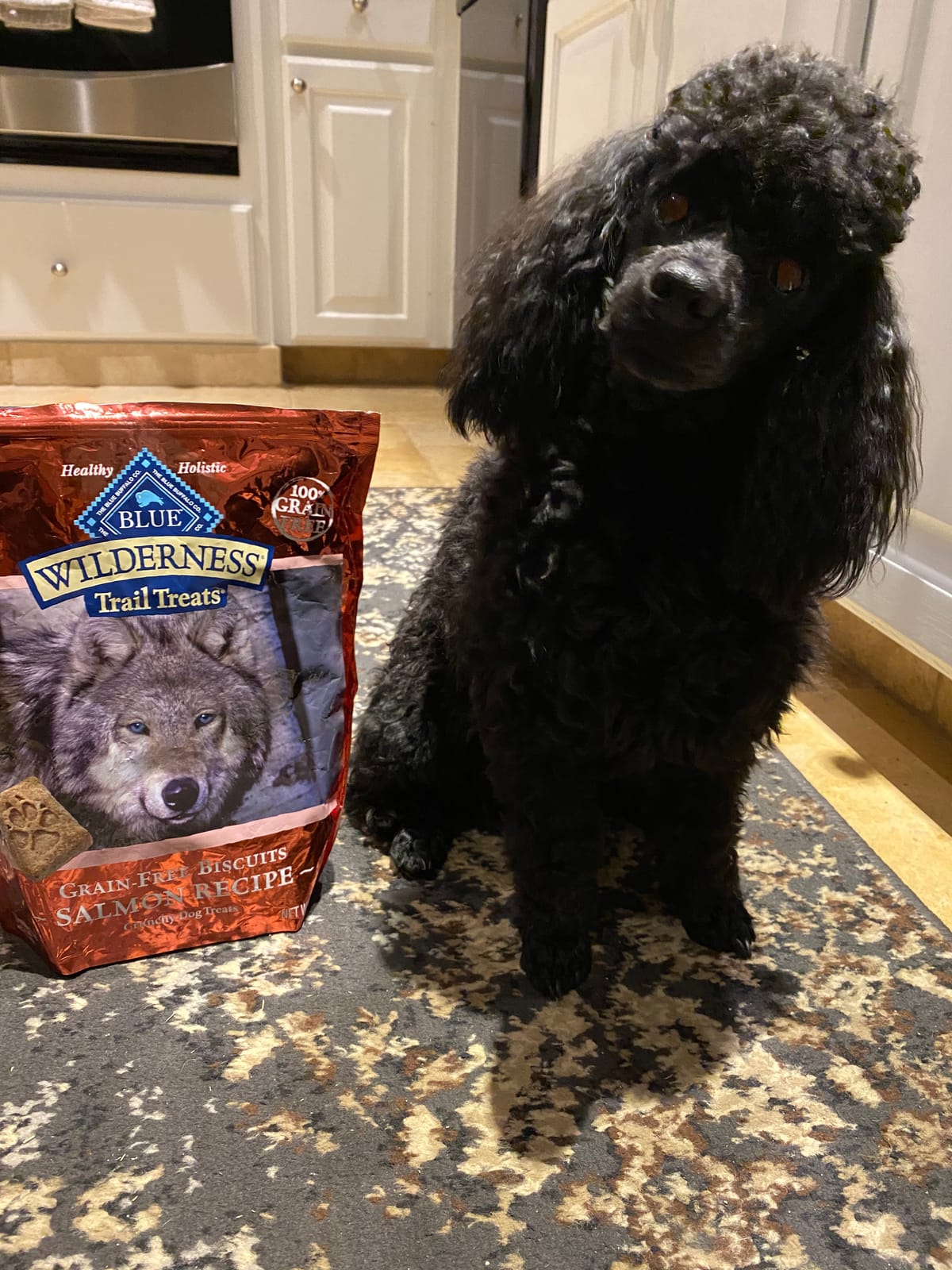 Blue Buffalo Wilderness Salmon Crunchy Dog Biscuits, Grain-Free, 24 oz customer photo 1