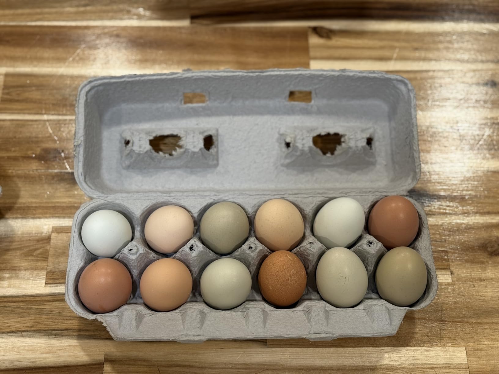 Printed Farm Fresh Egg Cartons - Holds Up to XL Chicken Eggs (25, Hen) customer photo 1