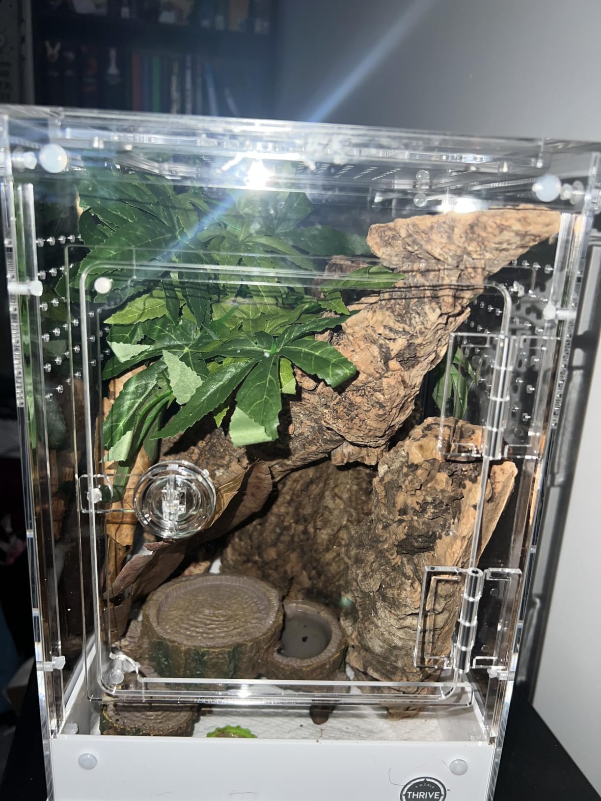 SLSON Reptile Plants Hanging Silk Terrarium Plants with Suction Cup for Bearded Dragons,Lizards,Geckos,Snake Pets and Hermit Crab Tank Habitat Decorations,Small Size,12 inches customer photo 2