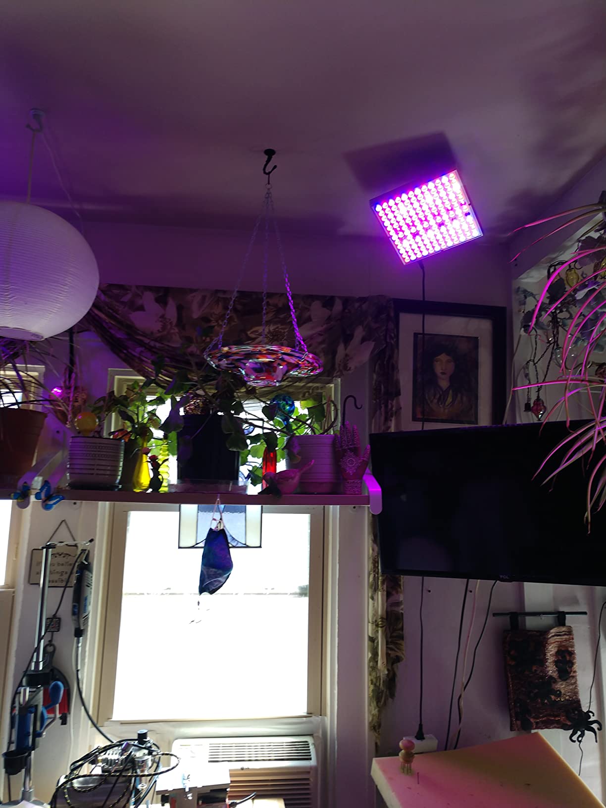 LED Grow Lights for Indoor Plants, Panel Plant Light Full Spectrum with IR & UV Bulbs for Seedlings,Micro Greens,Clones,Succulents (Size:9.9x9.9inches) customer photo 1