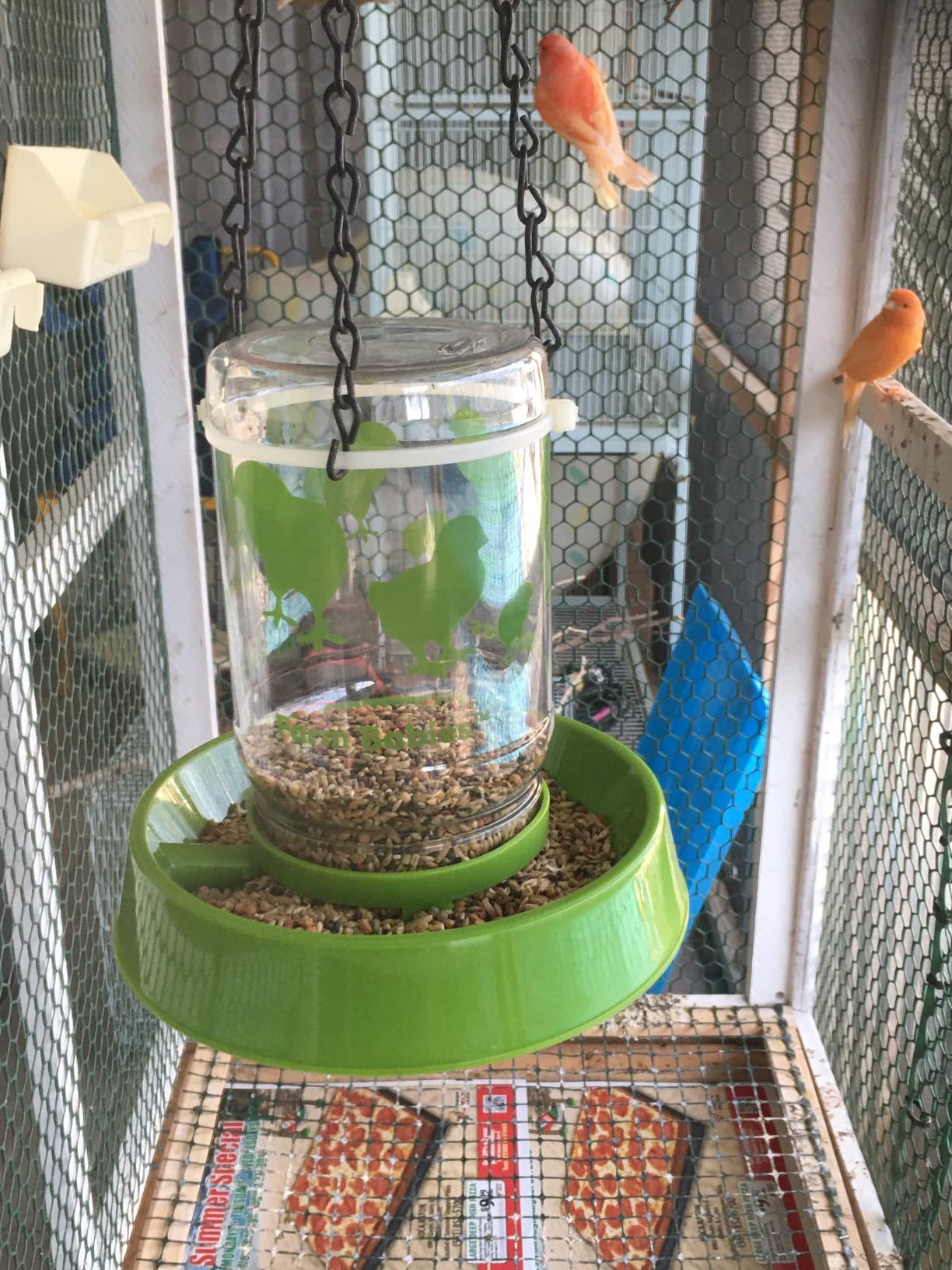 Lixit® Baby Chick Feeder or Waterer - Made in USA (Pack of 1) customer photo 2
