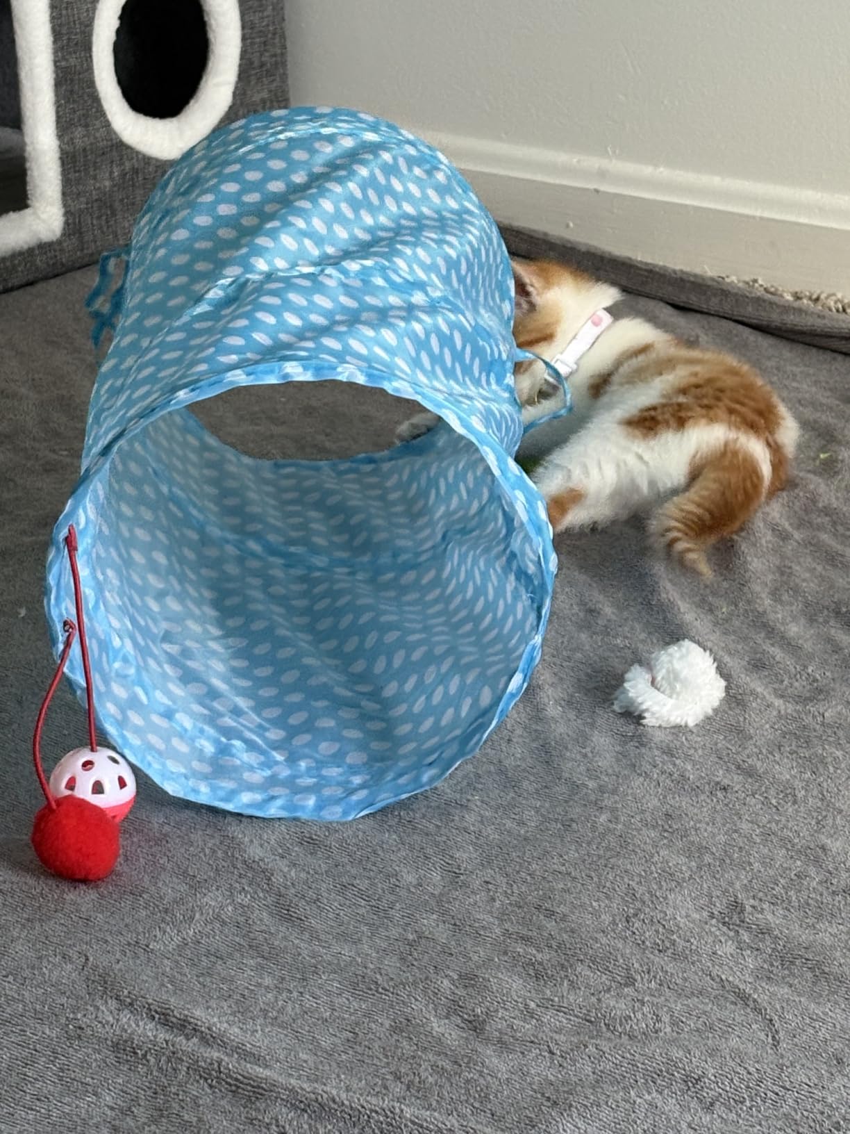AILUKI 35PCS Cat Toys Variety Pack for Indoor Cats, Kitten Toys Cat Tunnel | Kitten Toys for Indoor Kittens Cat Toy Bundle Set with Feather Wand, Plush Mice, Crinkle Balls & Interactive Cat Toys Bundle customer photo 2
