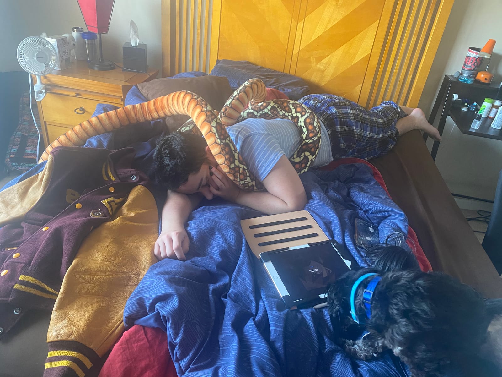 TigerHart Bernard The Brown Python - 9.5 Foot Long Stuffed Animal Plush Snake customer photo 2