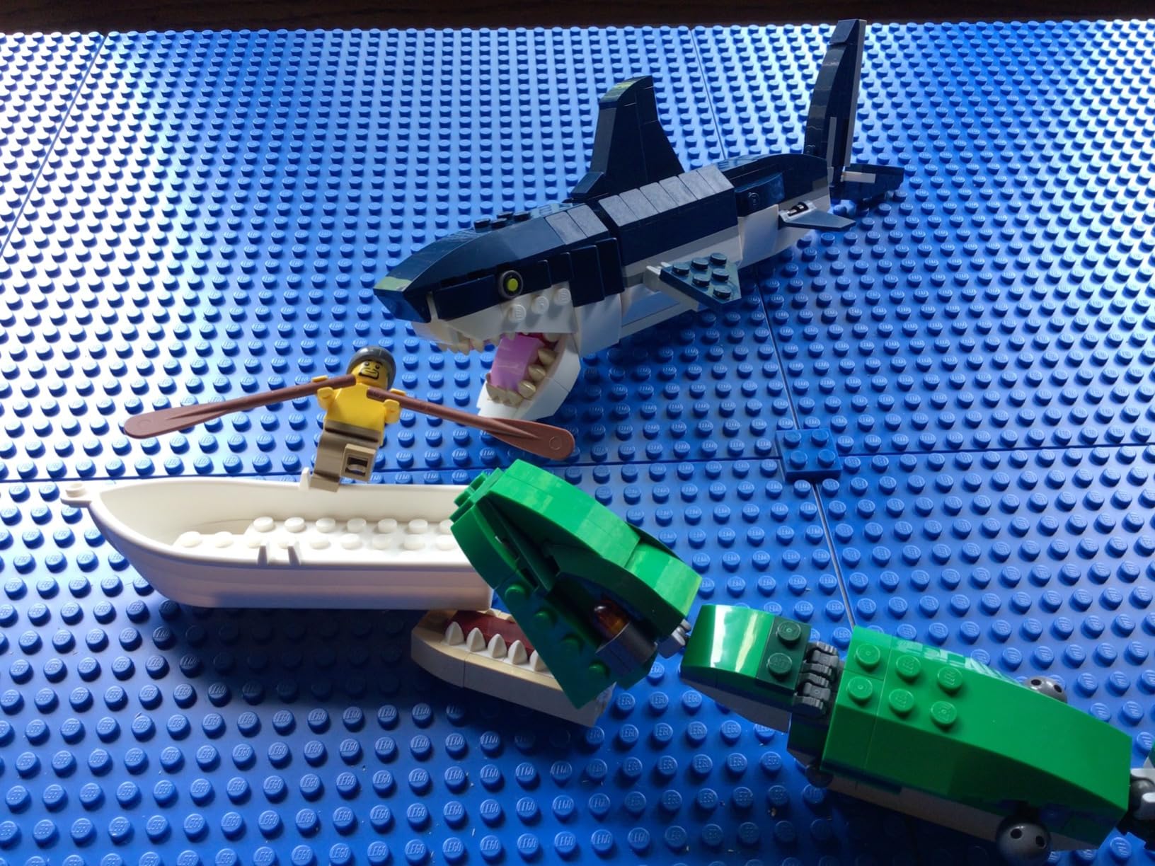 LEGO Creator 3 in 1 Deep Sea Creatures, Transforms from Shark and Crab to Squid to Angler Fish, Sea Animal Toys, Gifts for 7 Plus Year Old Girls and Boys, 31088 customer photo 1