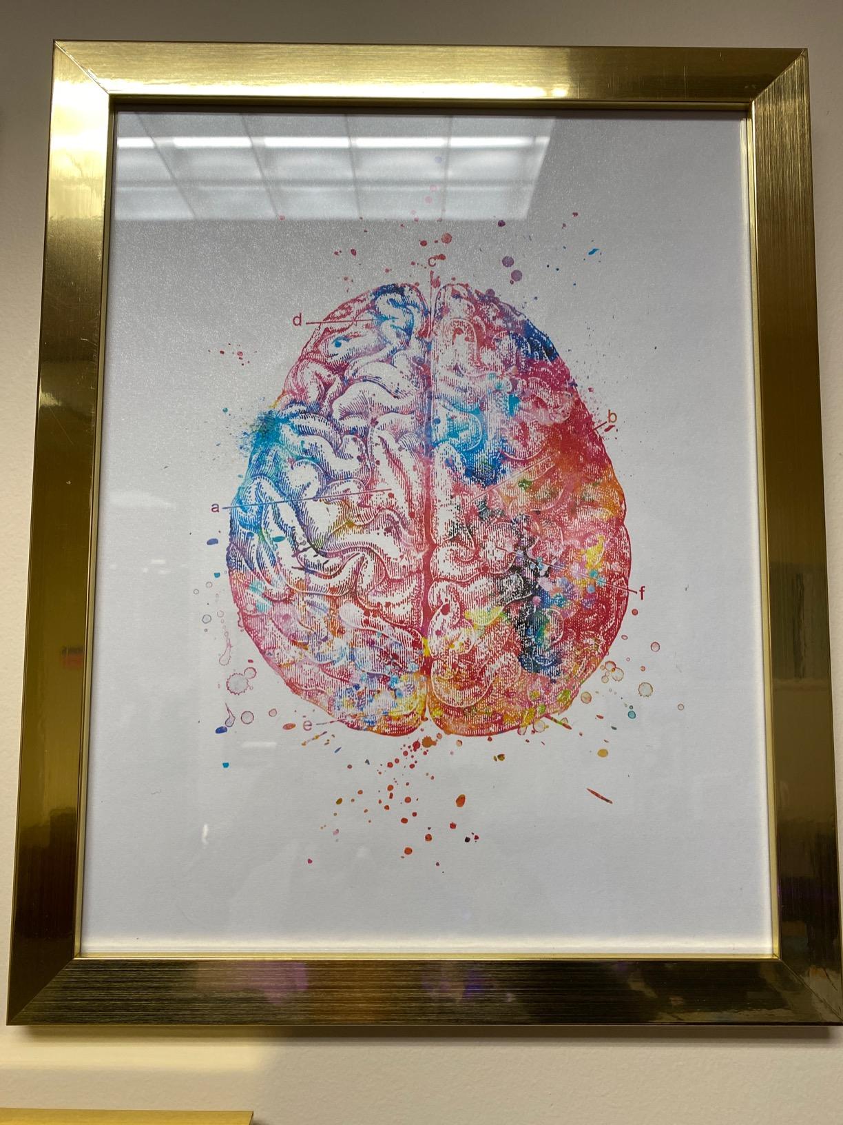 ZEARPT Watercolor Anatomy Wall Art Print, Human Heart Brain Lung Anatomical Poster, Colorful Anatomy Art Decor for Office Classroom Clinic, Medical Student Nurse Gift, Unframed 8x10 Inch customer photo 1