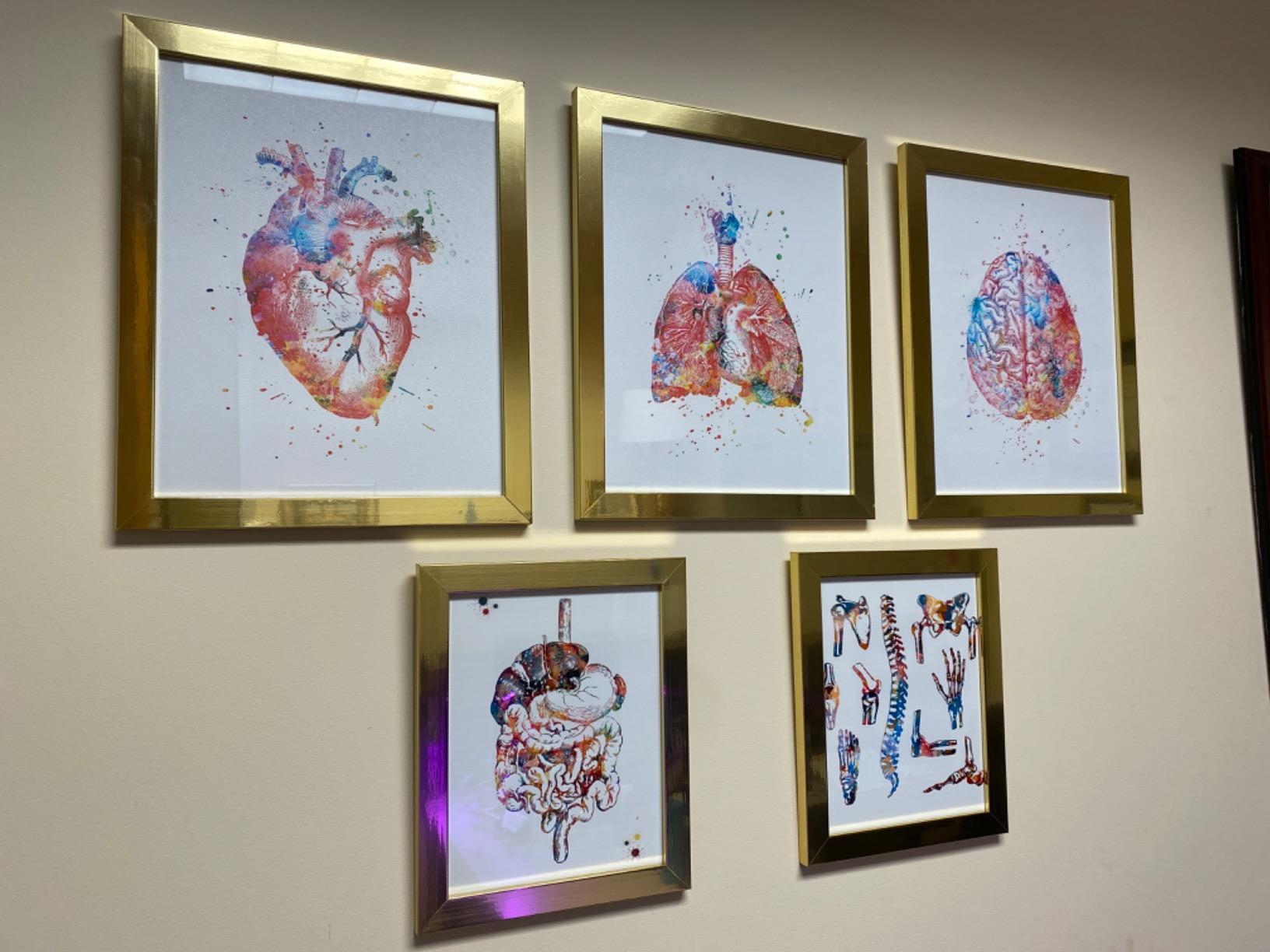 ZEARPT Watercolor Anatomy Wall Art Print, Human Heart Brain Lung Anatomical Poster, Colorful Anatomy Art Decor for Office Classroom Clinic, Medical Student Nurse Gift, Unframed 8x10 Inch customer photo 2