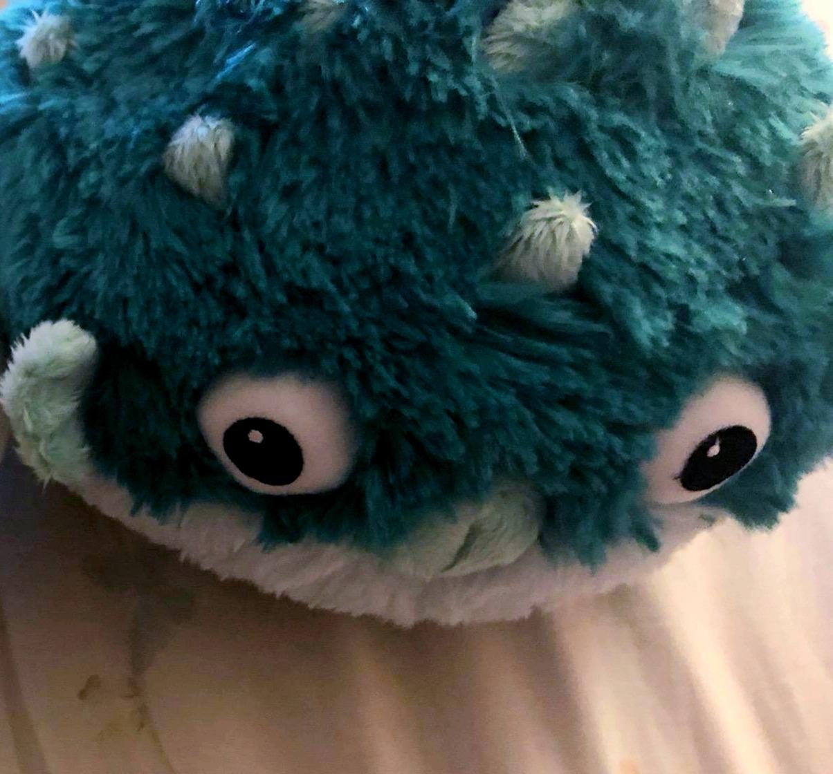 Squishable - Mini Teal Pufferfish - Aquatic Collection - 7 in - Soft Toy Collectible Stuffed Animal customer photo 1