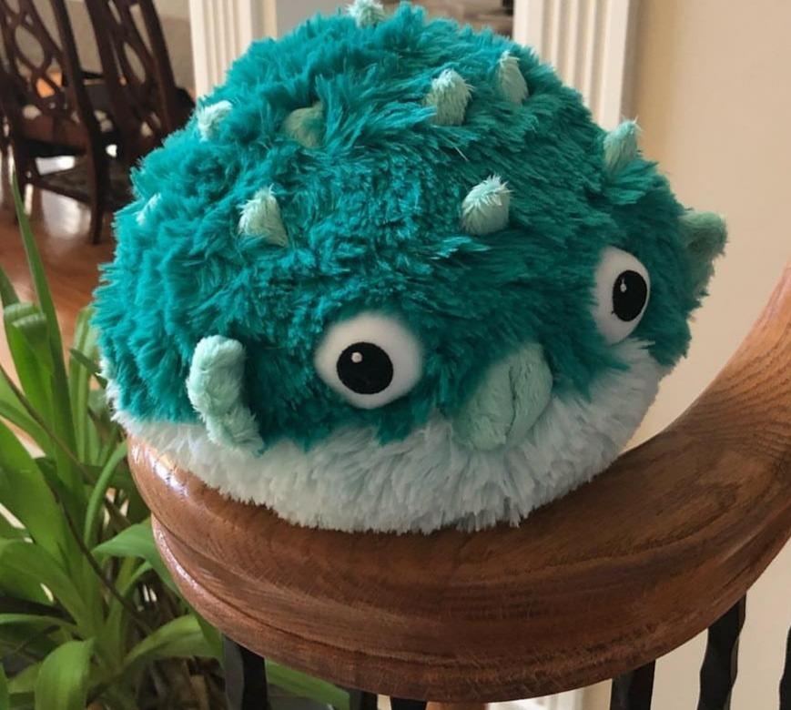 Squishable - Mini Teal Pufferfish - Aquatic Collection - 7 in - Soft Toy Collectible Stuffed Animal customer photo 2