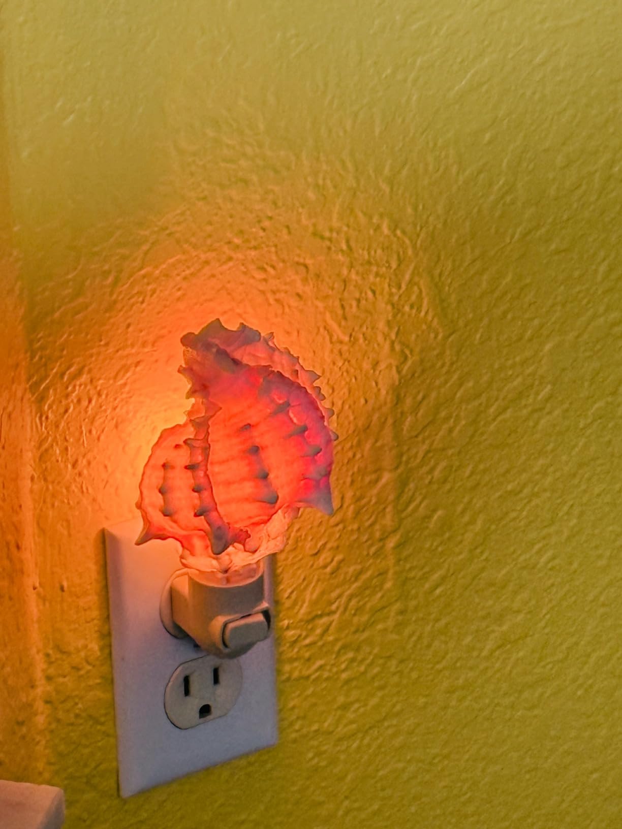 Seashell Night Light Real Pink Murex Shell Beach Decor w. on/Off Switch Beautiful Coastal Cottage customer photo 1