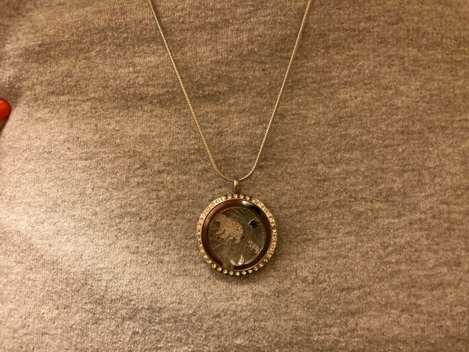 Veeshy Mom Grandma Gifts, Birthstones DIY Floating Charms Locket Necklace customer photo 2