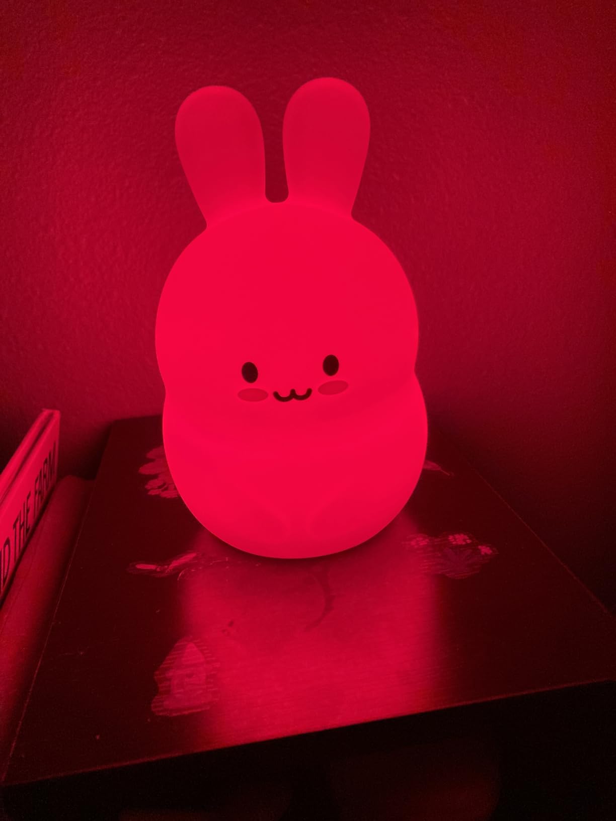 Lumipets Owl Squishy Night Light for Kids, Silicone Lamp with Remote | Tap Control | Rechargeable 9-Color Changing | Nursery Nightlight for Boys & Girls | Portable Animal Lamp | USB Cord Included customer photo 2
