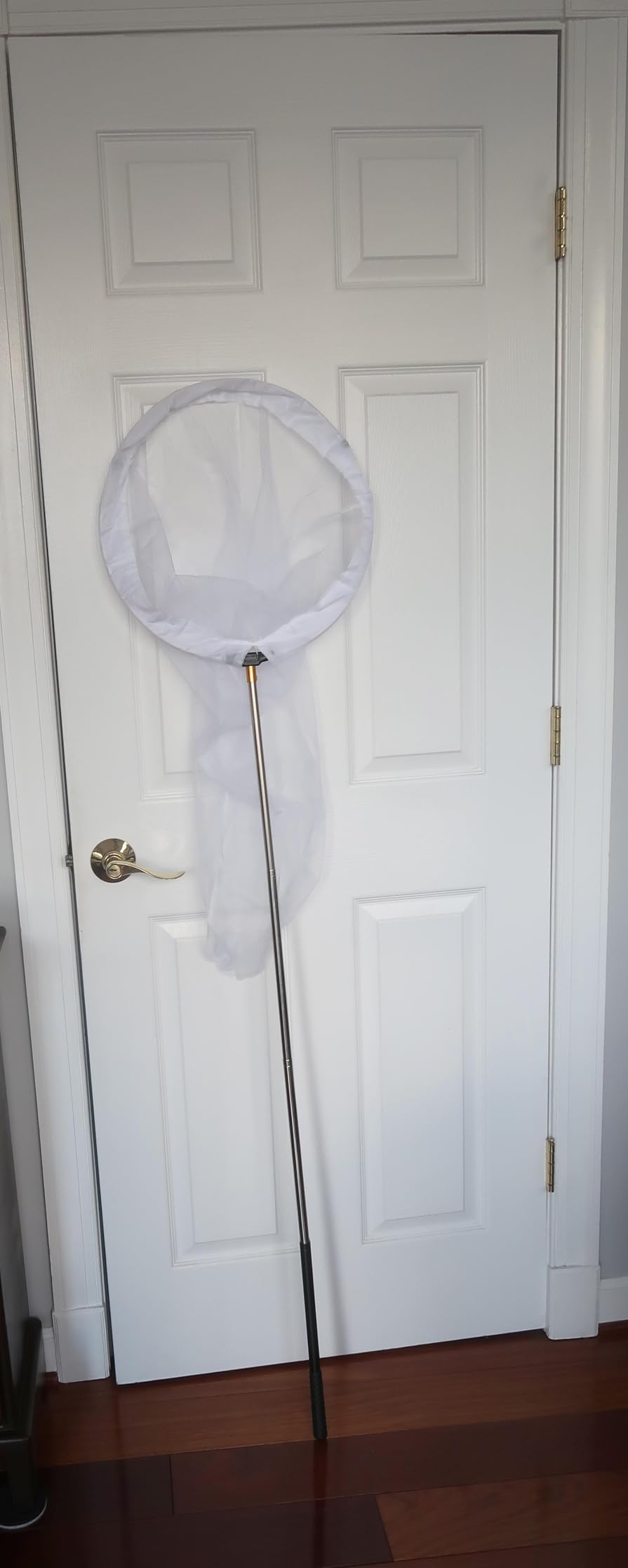 RESTCLOUD Insect and Butterfly Net with 12