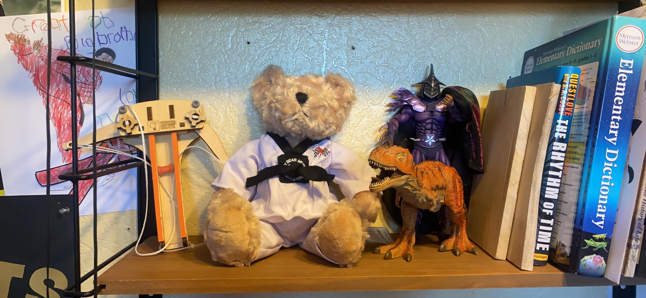 Houwsbaby Taekwondo Teddy Bear Stuffed Animal Karate Bear Martial Arts Plush Toy Adorable Gifts for Taekwondo Kids Black Belt Presents for Girls and Boys,8'' customer photo 1