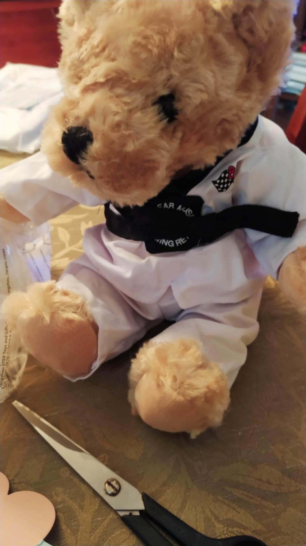 Houwsbaby Taekwondo Teddy Bear Stuffed Animal Karate Bear Martial Arts Plush Toy Adorable Gifts for Taekwondo Kids Black Belt Presents for Girls and Boys,8'' customer photo 2