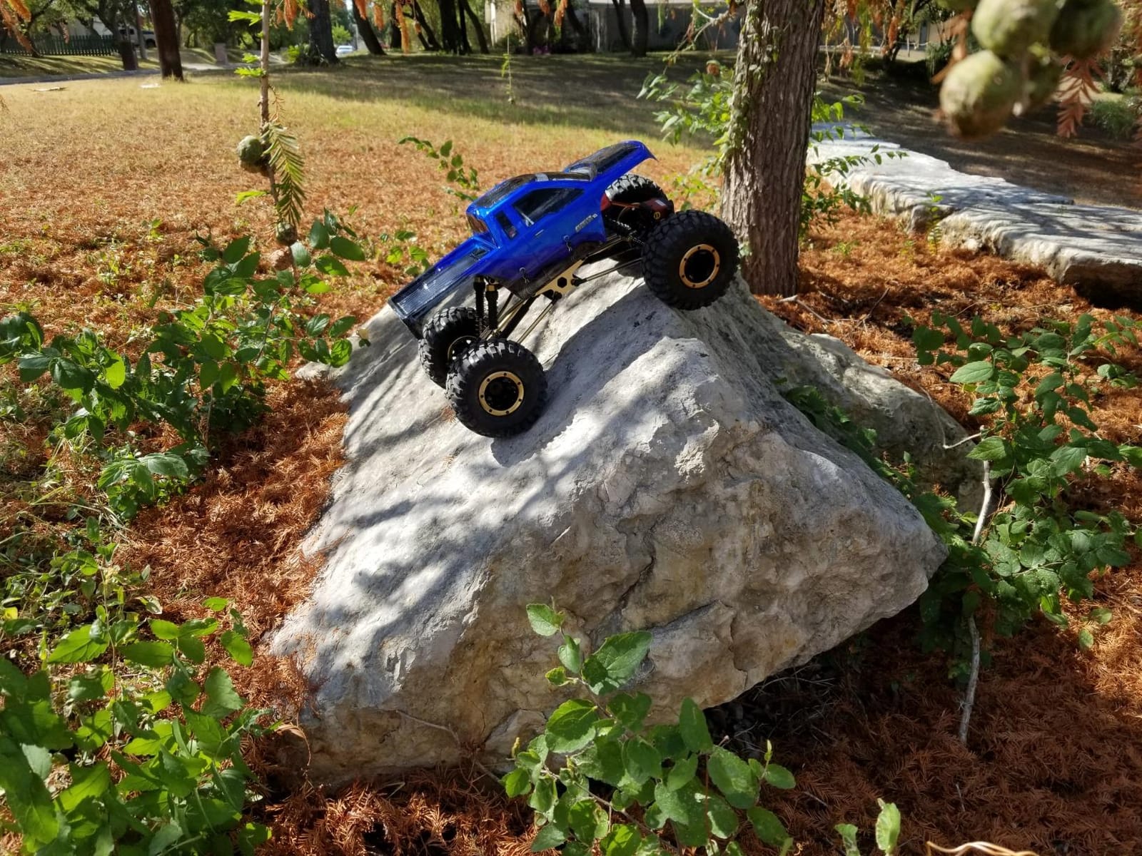 Redcat Racing Everest-10 Electric Rock Crawler with Waterproof Electronics, 2.4Ghz Radio Control (1/10 Scale), Blue/Black customer photo 2
