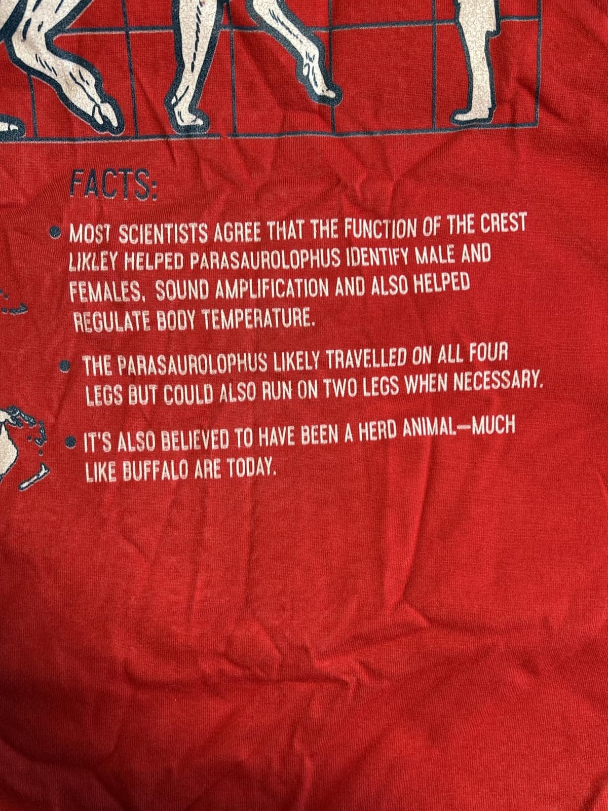 Parasaurolophus Shirt Dinosaur Facts Species Vintage Gifts T-Shirt customer photo 1