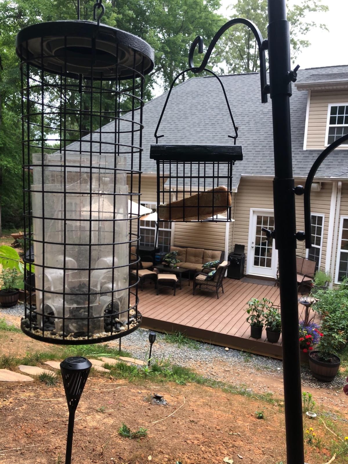 FORUP Suet Bird Feeder, Hanging Suet Feeder, Single Suet Cake Bird Feeder, One Suet Capacity customer photo 2