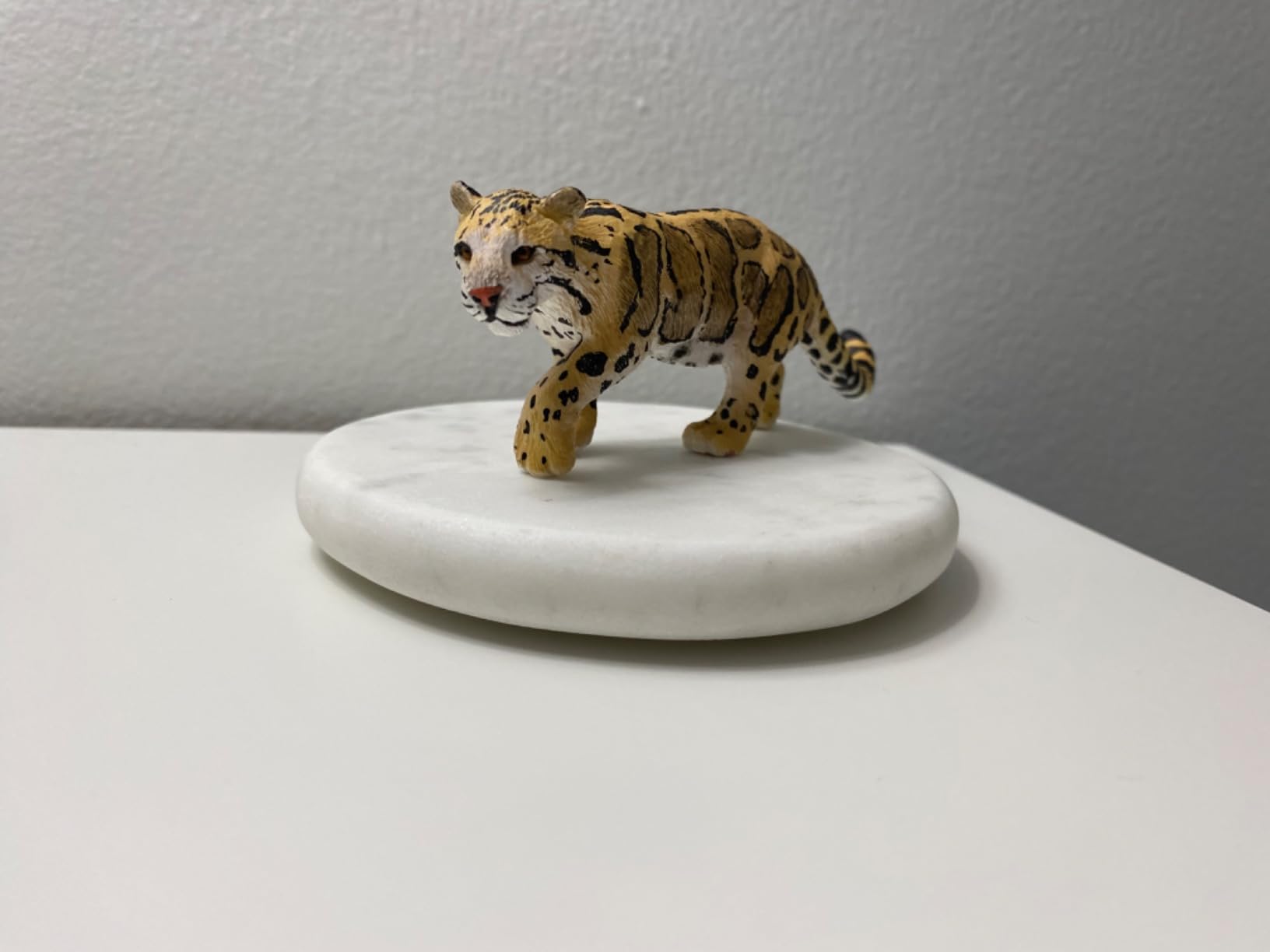 Safari Ltd. Clouded Leopard Toy - 5 Inch Realistic Wildlife Figure for Kids customer photo 1