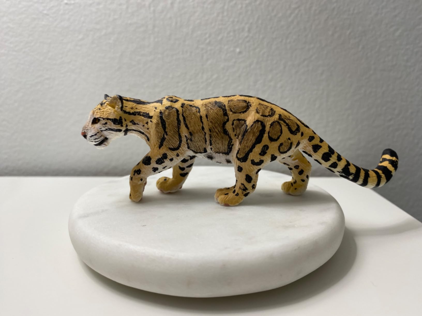 Safari Ltd. Clouded Leopard Toy - 5 Inch Realistic Wildlife Figure for Kids customer photo 2