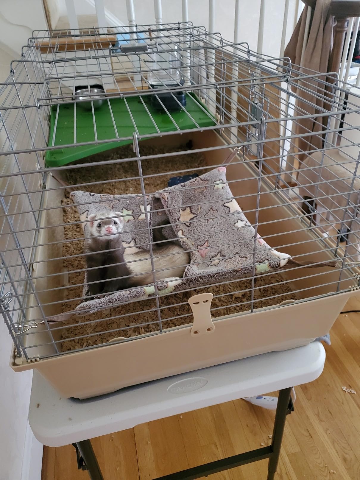 Niteangel Hanging Hammock Nap Sack Swing Bag Pet Sleeper for Ferret Rat Sugar Glider and Other Small Animals (Cream, Star) customer photo 1