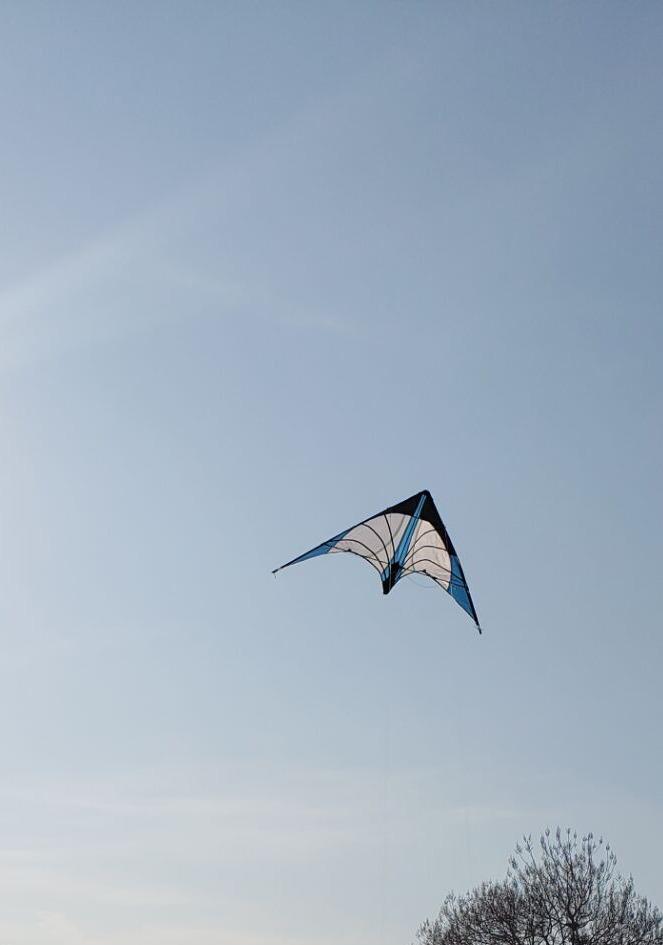 HENGDA KITE Upgrade Star Rhyme 48 Inch Dual Line Stunt Kite for Kids and Adults, Outdoor Sports, Beach and Fun Sport Kite, Handle, Line, and Bag Included customer photo 2