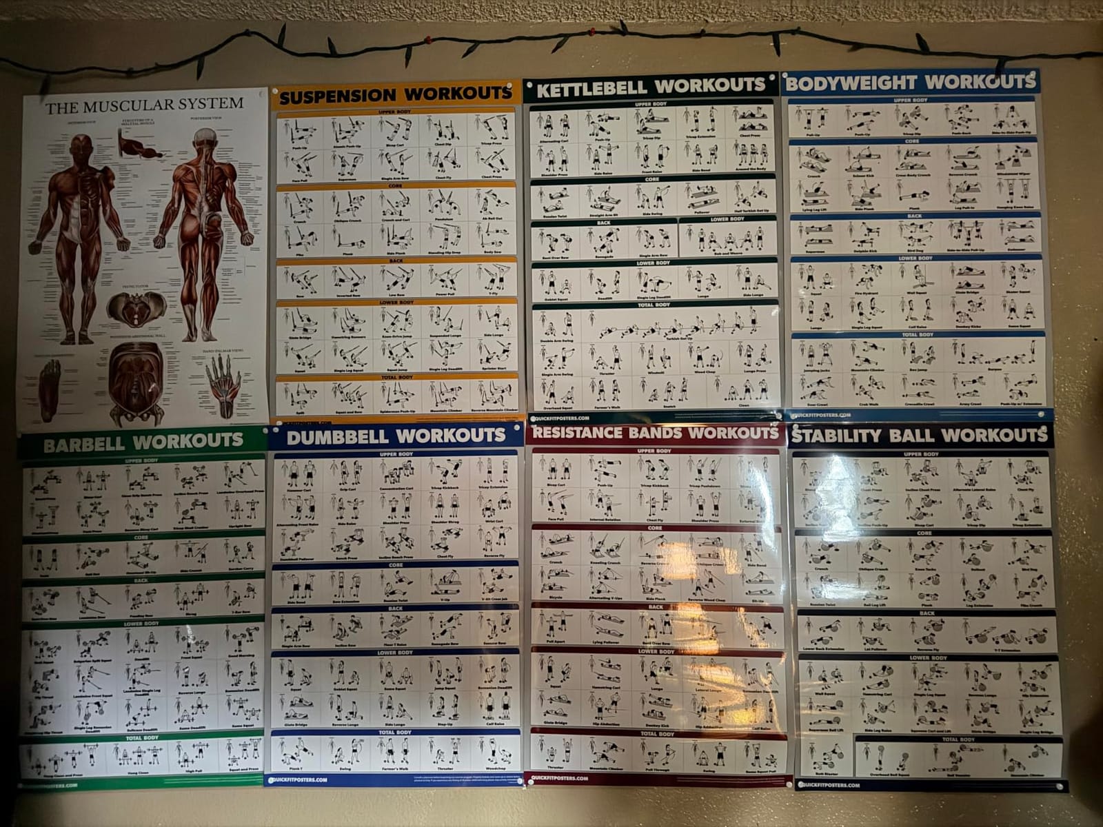 10 Pack - Exercise Workout Poster Set - Dumbbell, Suspension, Kettlebell, Resistance Bands, Stretching, Bodyweight, Barbell, Yoga Poses, Exercise Ball, Muscular System Chart (LAMINATED,18