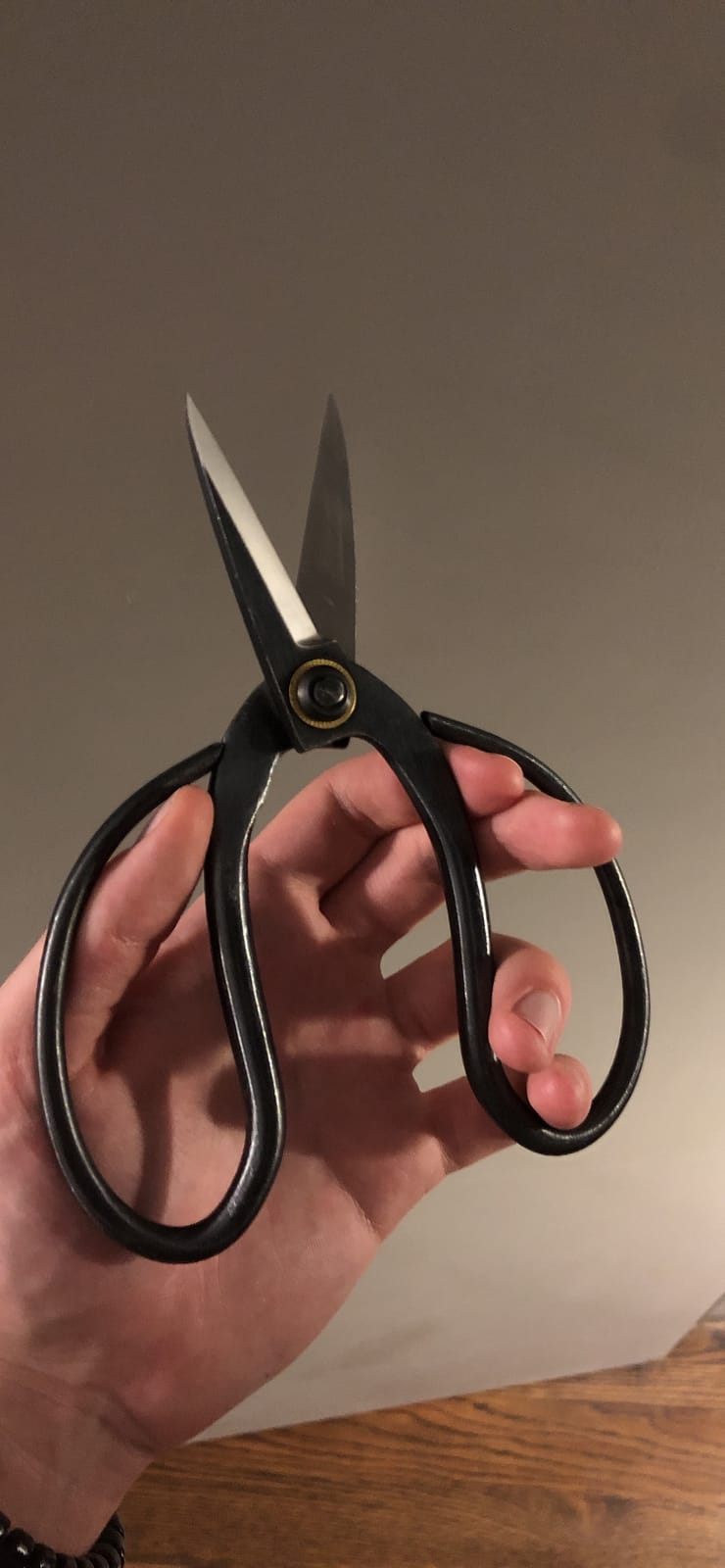 VISEMAN Japanese Bonsai Pruning Scissors, KinTakashi Gardening Shears customer photo 1