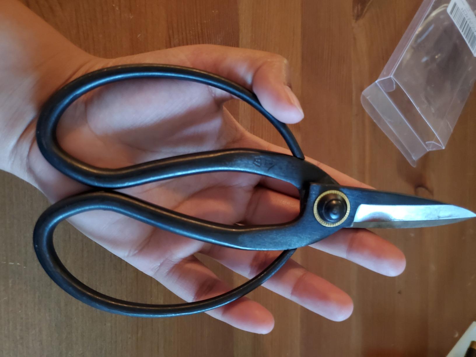 VISEMAN Japanese Bonsai Pruning Scissors, KinTakashi Gardening Shears customer photo 2