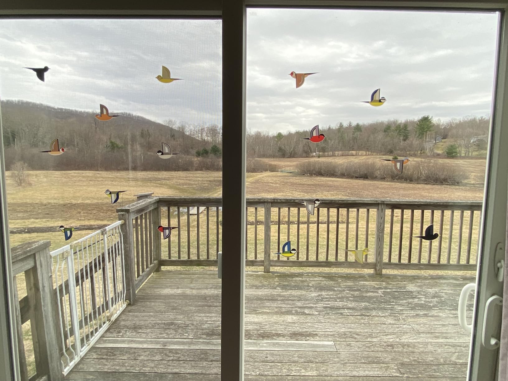 Set of 7 Swallow Bird Window Clings | Bird Window Strike Prevention | Vibrant Decorative Bird Window Stickers to Stop Birds Flying into Windows | Double Sided | Removable | Reusable | Moveable customer photo 2