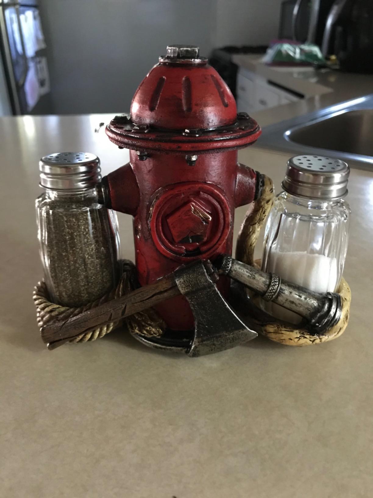 Glass Salt and Pepper Shakers - Deer Antler Salt and Pepper with Holder for Kitchen - Simple Salt and Pepper Shakers with Lids - Rustic Salt and Pepper Caddy Spices and Seasonings Set customer photo 2