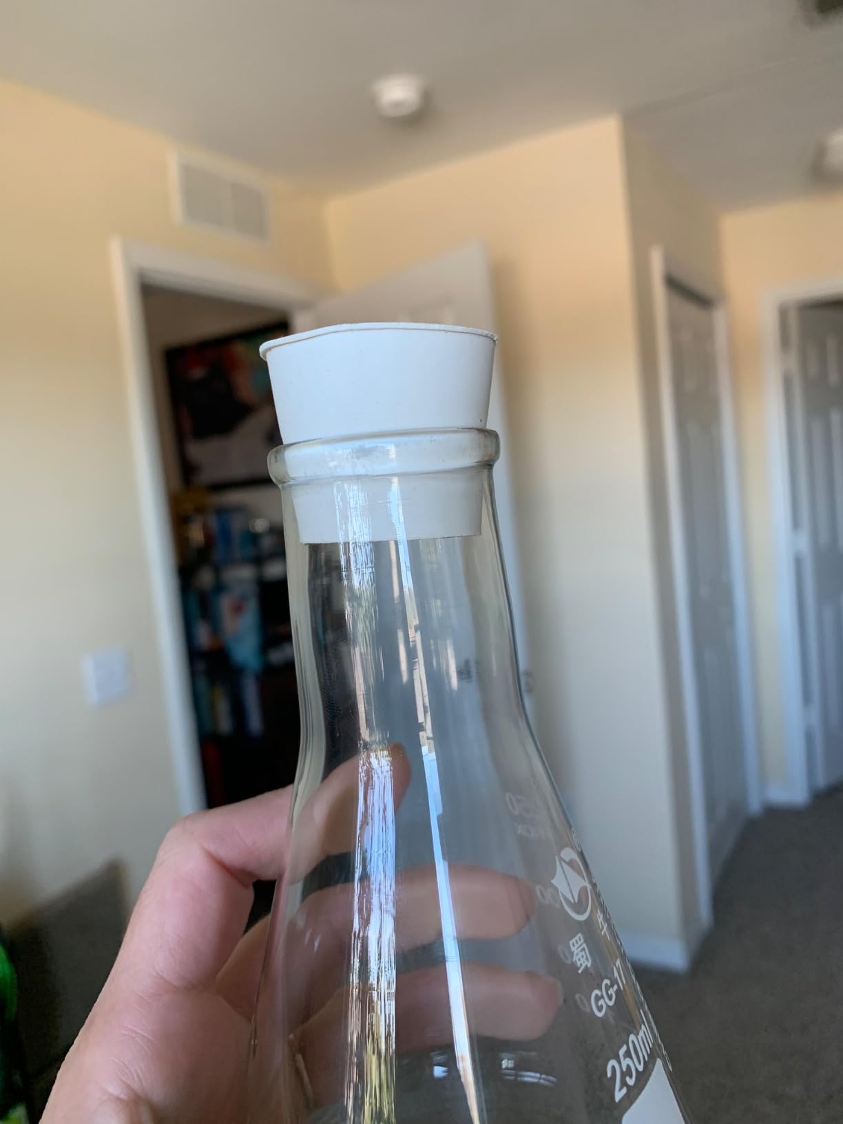Glass Erlenmeyer Flask Set, (250 ml, 150 ml & 50 ml) customer photo 2